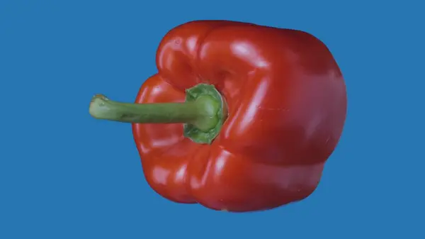 果物や野菜を健康的に食べるクリエイティブなコンセプト 着色されたスクリーンに対して野菜 ブルーの背景に半分隔離された赤いベルペッパーのクローズアップスタジオショット — ストック写真