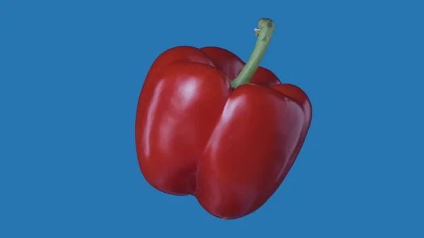 Здоровое Питание Фруктов Овощей Творческая Концепция Овощи Против Цветного Экрана — стоковое фото