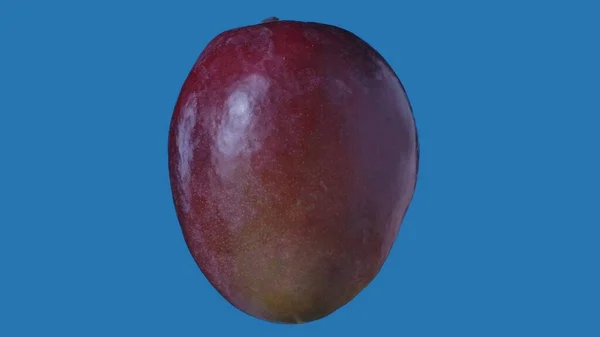 健康的水果和蔬菜创意概念 水果与彩色屏幕的对比 蓝色背景下孤立茎的芒果特效拍摄 — 图库照片