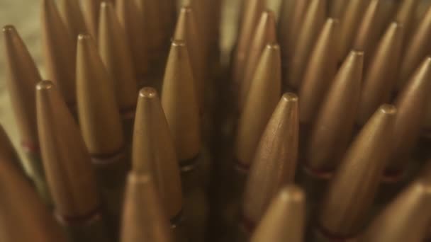 Reihen Von Zahlreichen Gewehrpatronen Schließen Sich Das Konzept Der Schusswaffen — Stockvideo