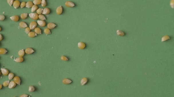 Zbliżenie Strzał Wielu Nasion Kukurydzy Wieje Przez Wiatr Centrum Zielonym — Wideo stockowe