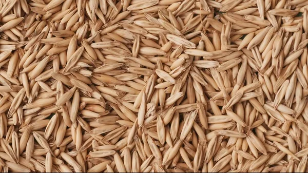 Closeup Shot Many Dried Wheat Grains Background Advertising Area Template — Stock Photo, Image