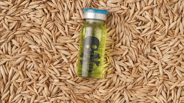 Gevaarlijke Chemische Stoffen Landbouwsector Close Shot Van Tarwekorrels Achtergrond Kleine — Stockfoto