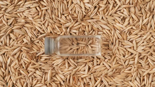 Nebezpečné Chemikálie Zemědělství Detailní Záběr Pšeničných Zrn Pozadí Průhledné Skleněné — Stock fotografie