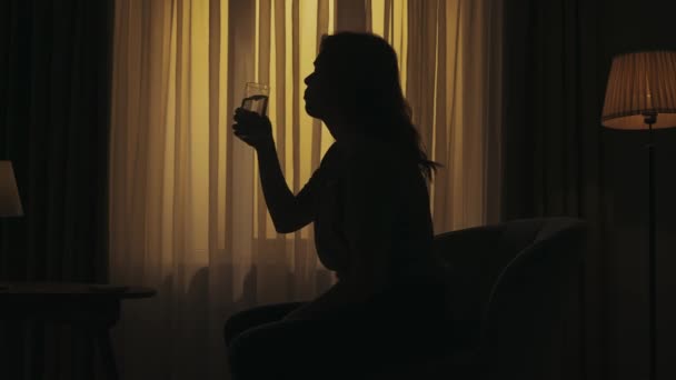 Porträt Einer Weiblichen Silhouette Der Dunklen Wohnung Kreatives Konzept Für — Stockvideo