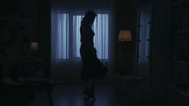 Portrait Silhouette Féminine Dans Appartement Sombre Vie Quotidienne Concept Créatif — Video