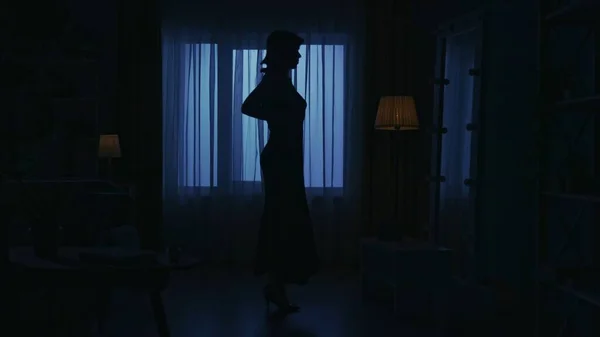 Portrait Female Silhouette Dark Apartment Woman Dress High Heels Looking — Stock Photo, Image
