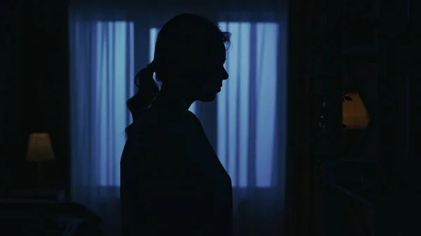 Closeup shot. Portrait of female silhouette in the dark apartment. Everyday life creative concept. Woman in the living room standing in front of the closet.