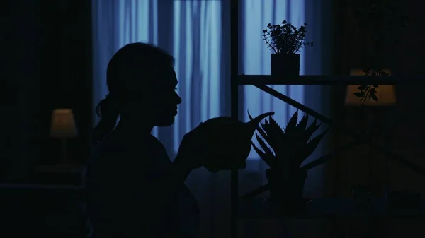 Closeup shot. Portrait of female silhouette in the dark apartment. Everyday life creative concept. Woman in the living room watering the plants on the shelves.