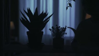 Karanlık dairedeki kadın siluetinin portresi. Günlük yaratıcı yaşam konsepti. Oturma odasındaki raflardaki saksıları yakından çek. Çiçekleri konserve kutusuyla sulayan kadın..