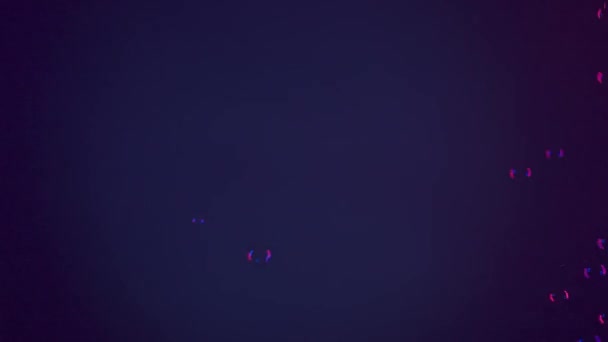Létající Průhledné Mýdlové Bubliny Modrém Pozadí Osvětlené Pestrobarevným Neonovým Světlem — Stock video