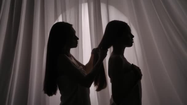 Vídeo Media Vista Lateral Dos Hermanas Siluetas Mujer Joven Envueltas — Vídeo de stock