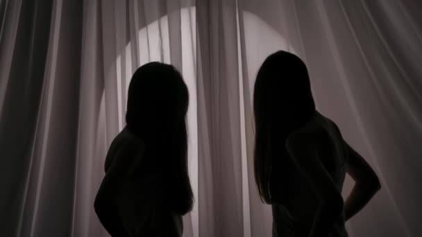 Vídeo Movimento Lento Médio Duas Irmãs Amigos Silhuetas Mulheres Jovens — Vídeo de Stock