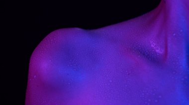Deri dokusu ve vücut bakımı yaratıcı konsepti. Güzel bir kadın model portresi. Beyaz kadın modelin yakın çekim stüdyosu. Neon ışığı, köprücük kemiği ve boynu su damlalarıyla kaplı vücut parçası..