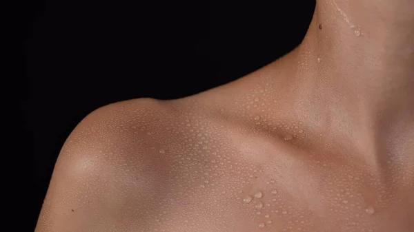 Skin texture and bodycare creative concept. Portrait of attractive model. Closeup shot of caucasian woman body part in studio light, shoulder and collarbone area skin in water drops after showering.