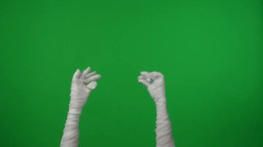 Detaylı yeşil ekran izole edilmiş kroma anahtar video mumyaların ellerini havaya kaldırarak parmaklarını şıklatıyor. Model yapın, tanıtım videonuz ya da reklamınız için çalışma alanı.