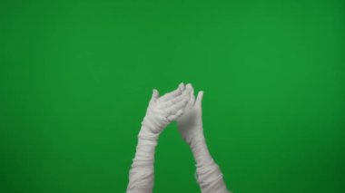 Detaylı yeşil ekran izole edilmiş kroma anahtar video mumyaların ellerini havaya kaldırıp alkışlıyor. Model yapın, tanıtım videonuz ya da reklamınız için çalışma alanı.