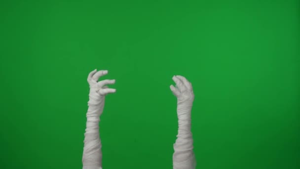 細部の緑のスクリーンによって隔離されるクロマのキー ビデオは空気で育つママの手を捉え 不気味に動きます モックアップ プロモーションクリップや広告のためのワークスペース — ストック動画