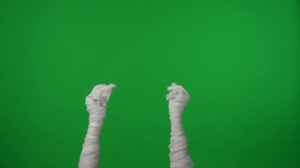 詳細な緑色のスクリーンは 空中で育ったママの手をキャプチャするクロマキービデオを分離し 指をスナップします モックアップ プロモーションクリップや広告のためのワークスペース — ストック動画