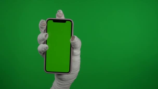 詳細緑のスクリーンは広告区域が付いているスマートフォンを握っているママの手を捉えるクロマのキー ビデオを分離しましたり あなたの昇進のクリップか広告のためのワークスペースのモックアップします — ストック動画