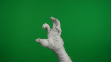 Detaylı yeşil ekran izole edilmiş kroma anahtar fotoğraf mumyaların ellerini havada kaldırırken, ürpertici bir şekilde hareket ediyor. Model yapın, tanıtım videonuz ya da reklamınız için çalışma alanı.