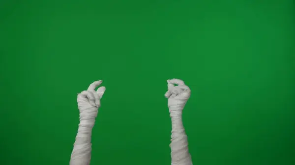 Detalhe Tela Verde Isolado Croma Chave Foto Captura Múmias Mãos — Fotografia de Stock