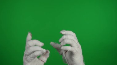 Detaylı yeşil ekran izole edilmiş kroma anahtar video mumyaların ellerini havada tutarken, ürpertici bir şekilde hareket ediyor. Model yapın, tanıtım videonuz ya da reklamınız için çalışma alanı.