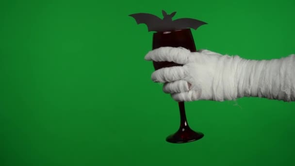 Detail Green Screen Isolated Chroma Key Video Capturing Mummys Hand — Stock Video