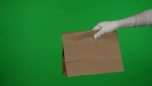 详细的绿色屏风隔离了色键视频抓取木乃伊的手带来了一个送货包 纸袋进入了框架 促销短片或广告的工作空间 — 图库视频影像