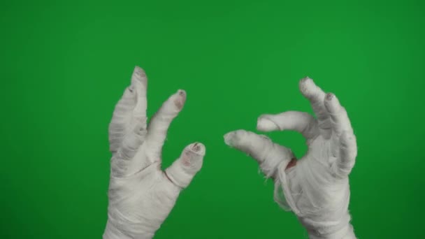 Detail Green Screen Isoliert Chroma Key Video Erfasst Mumien Hände — Stockvideo