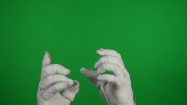Detaliu Ecran Verde Izolat Croma Cheie Video Capturarea Mâinilor Mumii — Videoclip de stoc