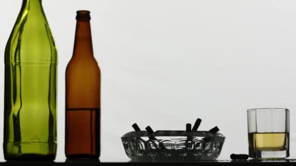 Nel Primo Piano Fotocamera Muove Mostrando Bottiglie Vetro Vuote Dissipate — Video Stock