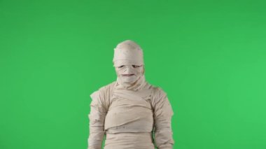 Yeşil ekran izole edilmiş kroma anahtarı videosu bir mumyanın arkasını göstererek birleşip sizi aramasını sağlıyor. Cadılar Bayramı. Model yapın, tanıtım videonuz ya da reklamınız için çalışma alanı.