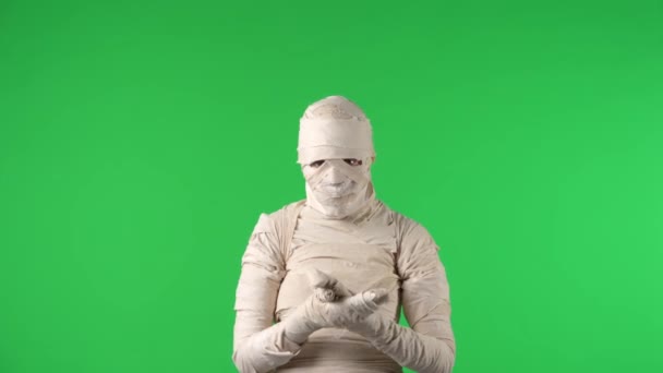 Pantalla Verde Aislado Croma Clave Vídeo Capturar Una Momia Aplaudiendo — Vídeos de Stock