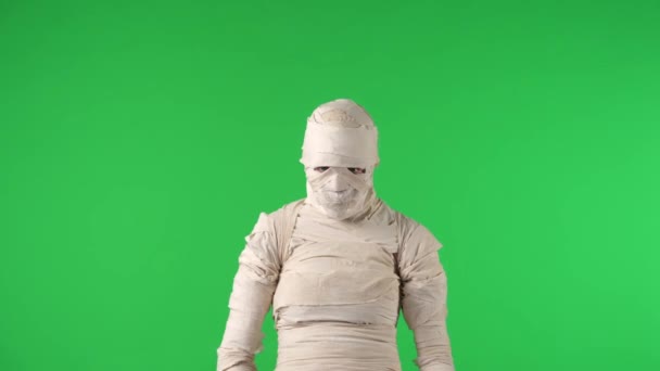 Zielony Ekran Izolowany Chroma Key Wideo Rejestrujące Mumię Oferty Dając — Wideo stockowe