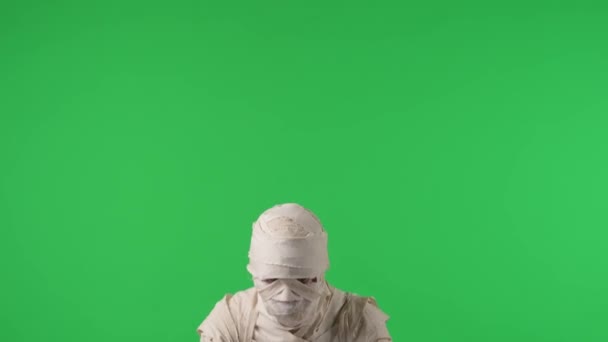 Pantalla Verde Aislado Croma Clave Vídeo Captura Una Momia Sacudiendo — Vídeos de Stock