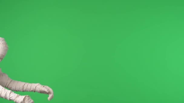 Zielony Ekran Odizolowany Chroma Key Wideo Rejestrujące Mumię Oszałamiającą Jednej — Wideo stockowe