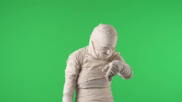 Schermo Verde Isolato Chroma Key Video Cattura Odore Mummia Sotto — Video Stock