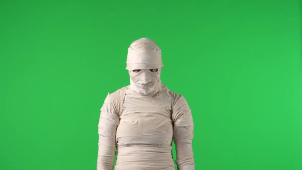 Schermo Verde Isolato Chroma Key Video Cattura Una Mummia Alzando — Video Stock