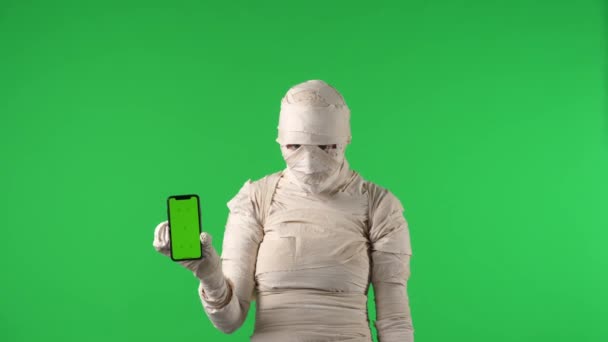 Vídeo Clave Croma Aislado Pantalla Verde Que Captura Una Momia — Vídeos de Stock
