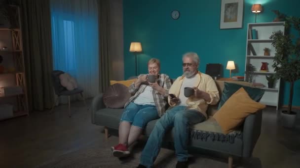 写真では 高齢の女性がアパートのソファーに座っています 男は彼女のホットティーを持って来た 彼らは一緒にテレビ映画や番組を見ています 彼らは幸せで 笑顔で 愛するふりをしている — ストック動画