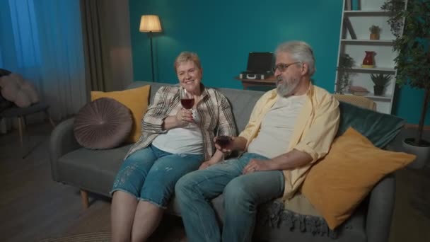 Ramka Pokazuje Starszą Parę Siedzącą Kanapie Pokoju Mają Kieliszki Wina — Wideo stockowe
