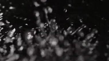 Su ve ses yaratıcı soyut bir kavram. Su yüzeyinin yakın çekim stüdyosu. Güzel tek renkli ışığı olan su, yukarıdan düşen damlalar ultra ses titreşimleri altında, soyut arkaplan.