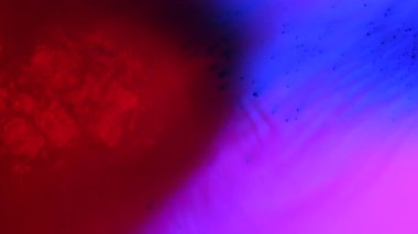 Su ve sıvı, yaratıcı ve soyut kavramları karıştırıyor. Stüdyonun su yüzeyini kapatın. Canlı kırmızı ve mavi mürekkep hareket ediyor ve karıştırıyor mor renkli su yaratıyor, soyut arkaplan. Yavaş çekim.