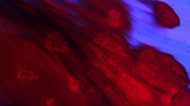 Su ve farklı sıvı yaratıcı reklam konsepti. Su dokusunun yakın çekim stüdyosu. Kırmızı mürekkep damlacıklarıyla neon renkli su yüzeyi. Leke, soyut duvar kağıdı arka planıyla karıştırılıyor..