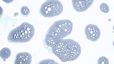 Su ve karışık malzemeler yaratıcı ve soyut bir kavram. Aqua 'nın yakın çekim stüdyosu. Temiz yüzeyde akan makro köpük kabarcıkları sanatsal etki yaratıyor, güzel soyut arka plan.