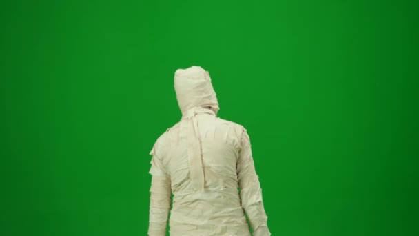 Green Screen Isolated Chroma Key Back View Video Capturing Mummy — Stock Video