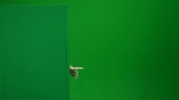 Schermo Verde Isolato Chroma Key Video Cattura Una Mummia Sbirciando — Video Stock