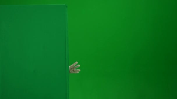 Green Screen Isoliertes Chroma Key Video Das Eine Mumie Einfängt — Stockvideo
