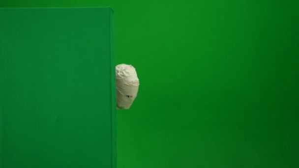 Green Screen Isolated Chroma Key Video Capturing Mummy Jumping Out — Stock Video